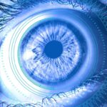 Falanx Cyber Security