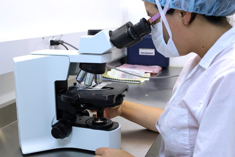 lab