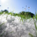 Allergy Therapeutics