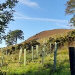 Biome Technologies plc