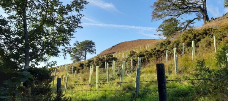 Biome Technologies plc