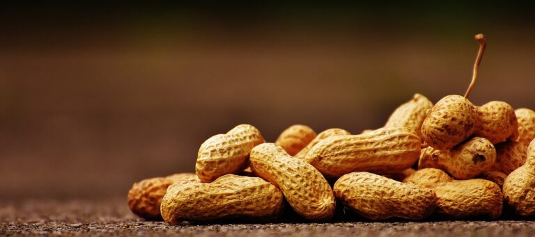 Peanut allergy