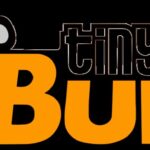 TinyBuild Inc
