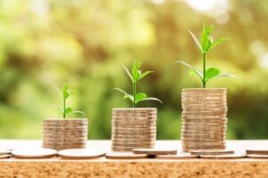 Investment Trust