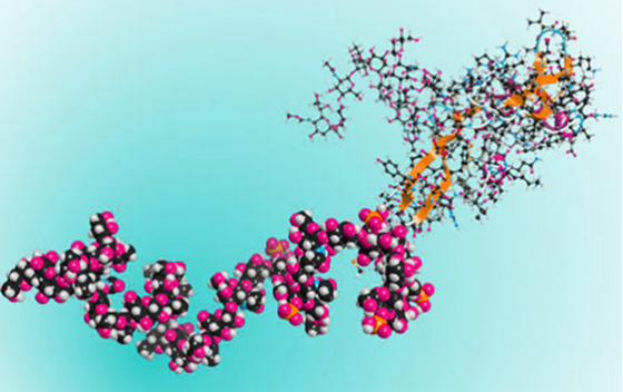 Biome Technologies biopolymers