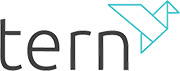 Tern plc
