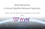 Tern Wyld Networks