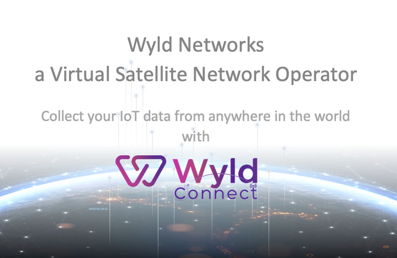 Tern Wyld Networks