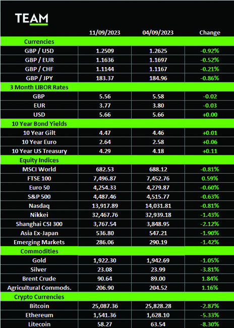 TEAM Asset Management