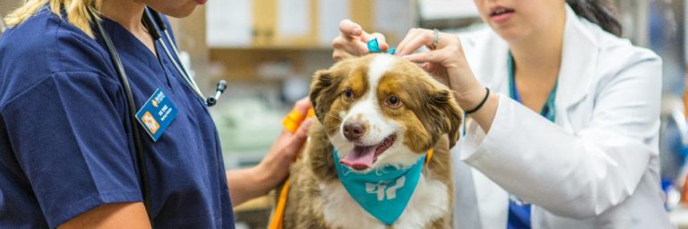 Silver Bullet Data Services Group