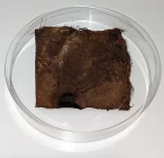 BSF Enterprise plc - Lab Grown Tissue