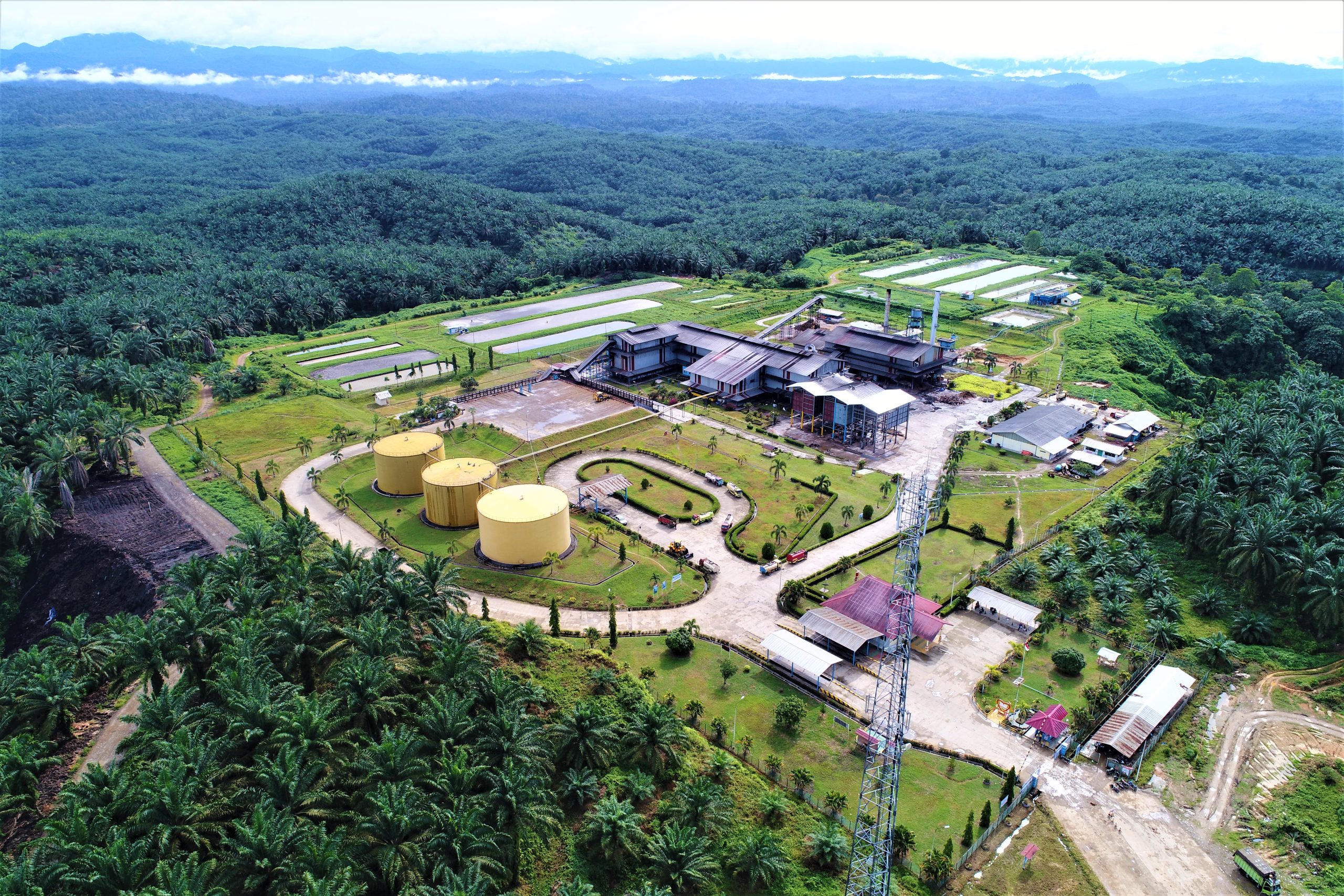 Anglo-Eastern Plantations