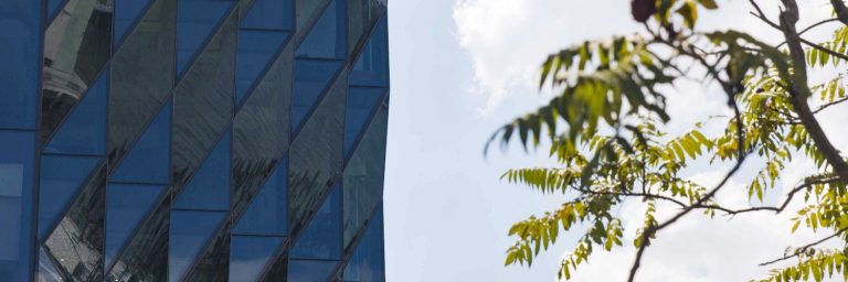 RTW Biotech Opportunities Ltd