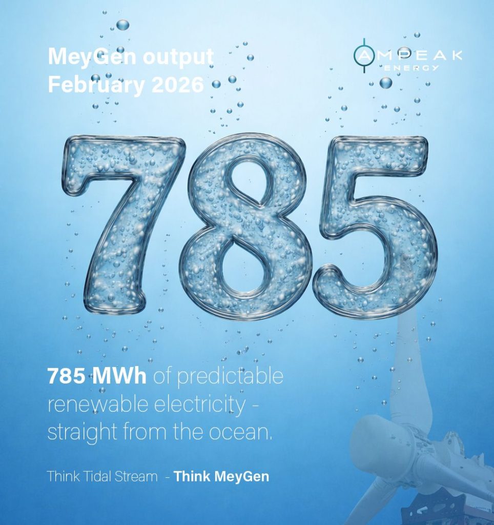 Meygen (Amp)